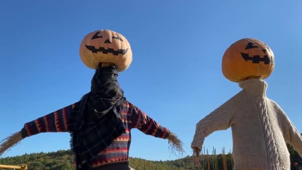 Celebrando o Dia dos Mortos nos Estados Unidos. Halloween. — Vídeo de Stock