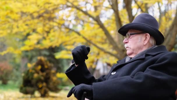 Der Alte Mann Ruft Seinen Freund Mit Einer Handbewegung Sich — Stockvideo