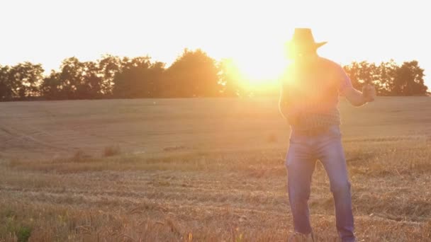 Silhouette eines Dorfarbeiters, der auf einem Feld tanzt. — Stockvideo