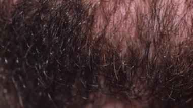 Bir erkeğin yüzüne sakal yapıştır. İnsan yüzünün makro fotoğrafı..