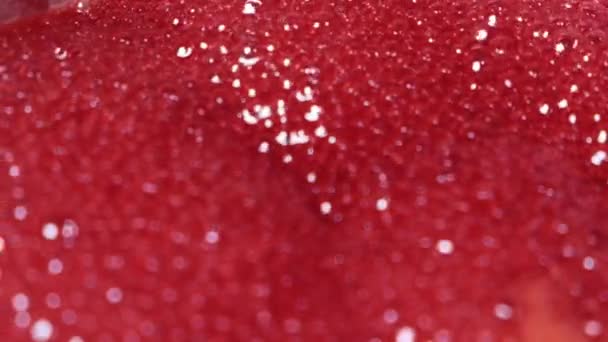 Rode bubbels koken. Bubbels rijzen op in een dikke rode vloeistof — Stockvideo