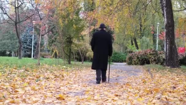 Pojęcie starości. człowiek idzie jesień Park. — Wideo stockowe