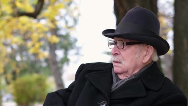 Yaşlı emekli bir büyükbaba parkta yalnız oturuyor, bunalımlı yaşlı bir adam. — Stok video