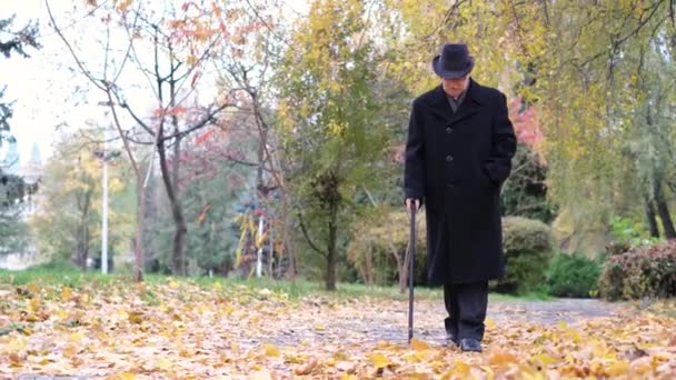 En äldre man med synnedsättning går i parken med en käpp. — Stockvideo