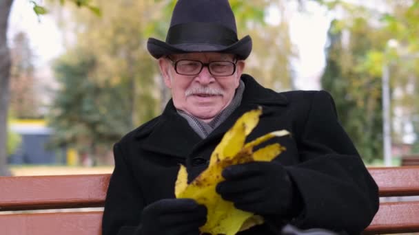 Viejo abuelo en un banco en un parque de la ciudad sosteniendo hojas amarillas — Vídeos de Stock