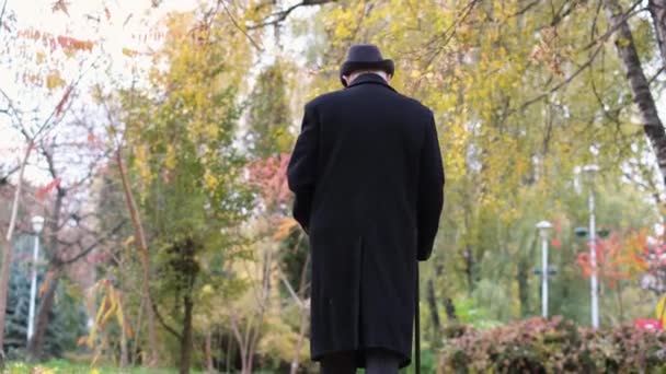 막대기를 든 외로운 할아버지가 검은 코트를 입고 시립 공원을 걷고 있다. — 비디오