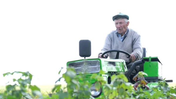 畑の上に小さなトラクターに腰掛けている老人。. — ストック写真