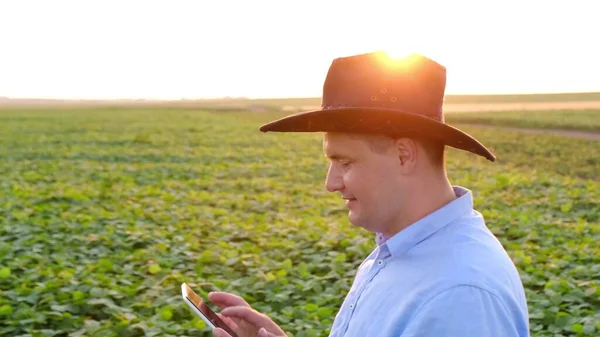 농업 - 태블릿 과푸른 콩밭을 사용하여 콩의 성장을 조사하라 — 스톡 사진