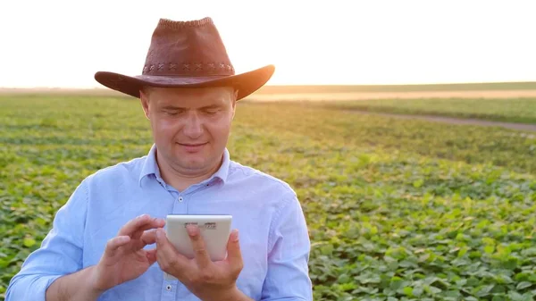 En bonde kontaktar kontoret via videosamtal från sitt fält vid solnedgången. — Stockfoto