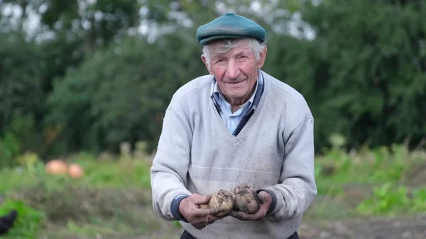 Feliz granjero senior mostrando sus papas orgánicas. —  Fotos de Stock