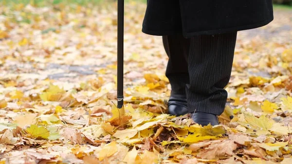 An elderly man with visual impairments tries to walk through the citys autumn park.