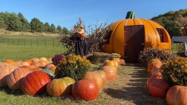 Amerika 'da Ölüler Günü' nü kutluyoruz. Cadılar Bayramı