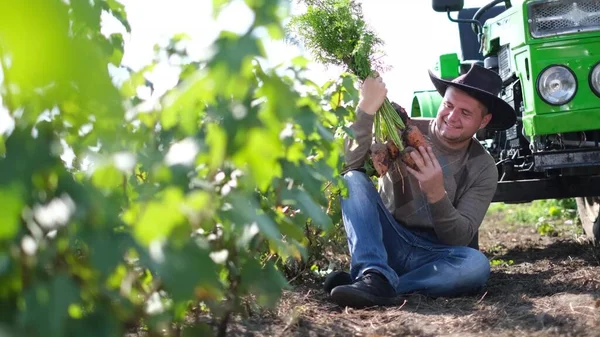 トラクターの近くのアメリカの農家は、米国コロラド州のニンジン作物を検査します。 — ストック写真
