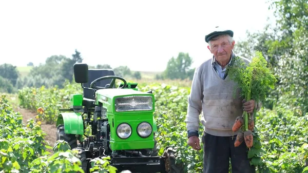 El agricultor senior muestra la cosecha en el campo en verano. —  Fotos de Stock