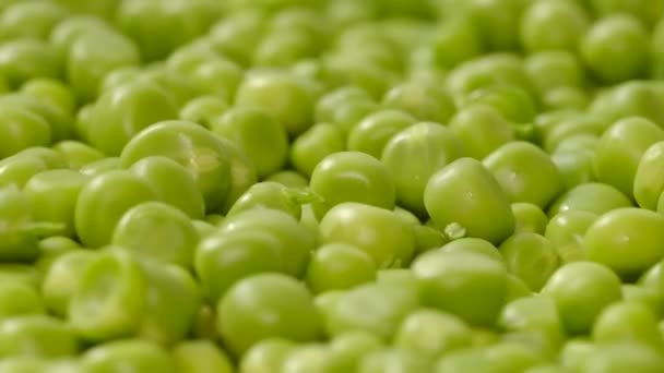 Вигляд зверху на обертання Peas. Зелений горох на тлі текстури. — стокове відео