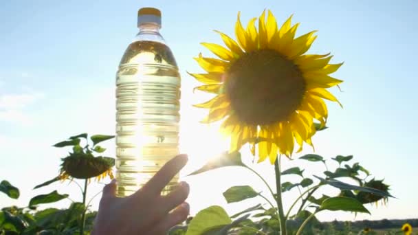 Fles van plantaardige olie in de hand op de achtergrond van zonnebloemen . — Stockvideo