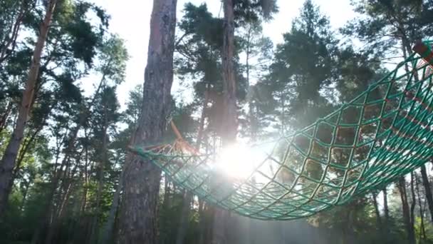 A cloth hammock strung between two pines in the fores — Stock Video