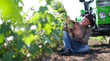 Genç çiftçi elinde taze toplanmış turuncu havuçları tutuyor..