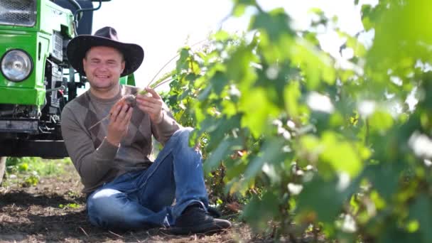 Een jonge boer inspecteert een worteloogst. Het begrip landbouw. — Stockvideo