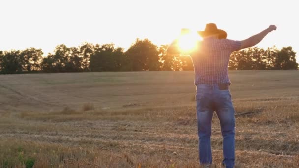 Gelukkige boer dansend genietend in het veld bij zonsondergang. Agronomist geniet van dansen. Vreugdevolle man — Stockvideo