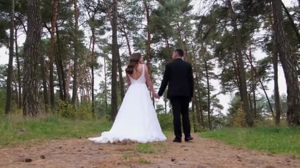 Unga par på sin bröllopsdag promenader i en tallpark. — Stockvideo