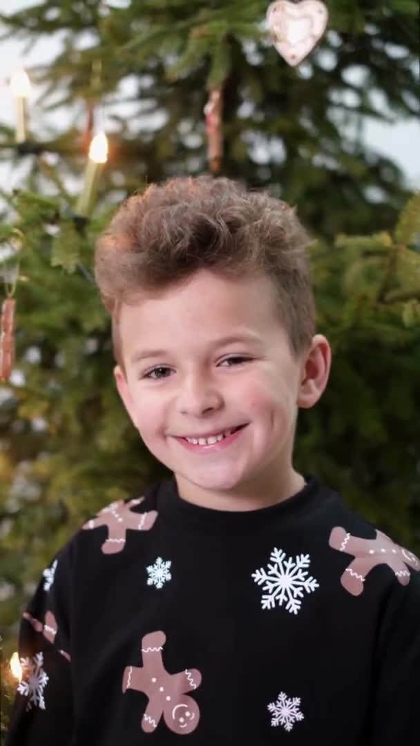 Mutlu çocuk Noel ağacının arka planındaki kameraya bakar.. — Stok video