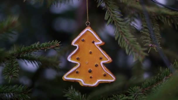 Juguete de Navidad colgado en un árbol de Navidad . — Vídeos de Stock