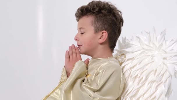 Маленький мальчик с ангельскими крыльями, он искренне молится в храме. — стоковое видео