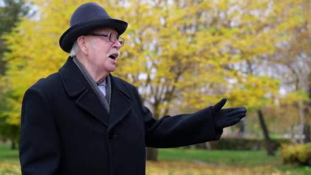 An old grandfather from the park tells how he spent his childhood there. — Stock Video