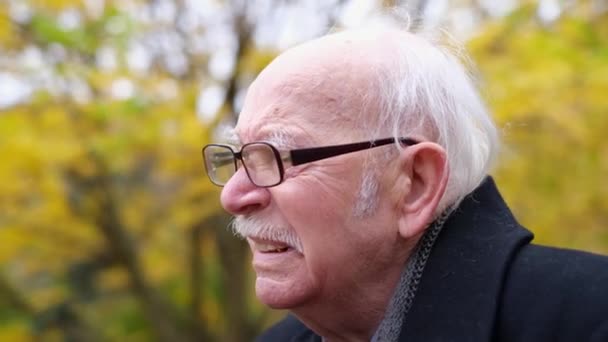 Un viejo abuelo de pelo gris en el parque está sentado en un banco — Vídeos de Stock