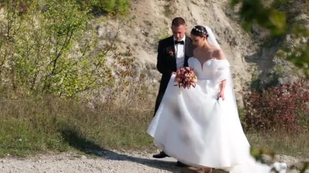 Stilvolles Hochzeitspaar, Braut, Bräutigam küssen und umarmen. — Stockvideo