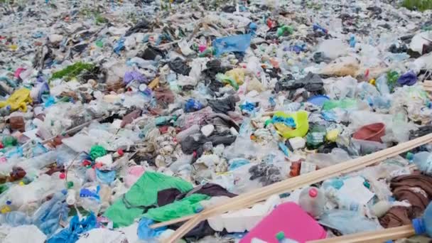 Una gran pila de basura, un montón de bolsas de plástico, basura en el entorno natural. — Vídeo de stock