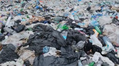 Dünya ekolojisindeki plastik atık sorunu. Okyanus kıyılarının kirliliği.