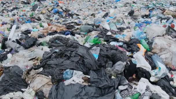 Problém plastového odpadu ve světové ekologii. Znečištění pobřeží oceánu. — Stock video