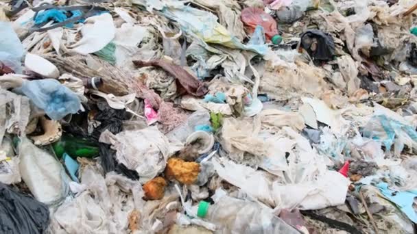 In Thailandia, la spazzatura è disseminata di rifiuti di plastica. Catastrofe ecologica — Video Stock