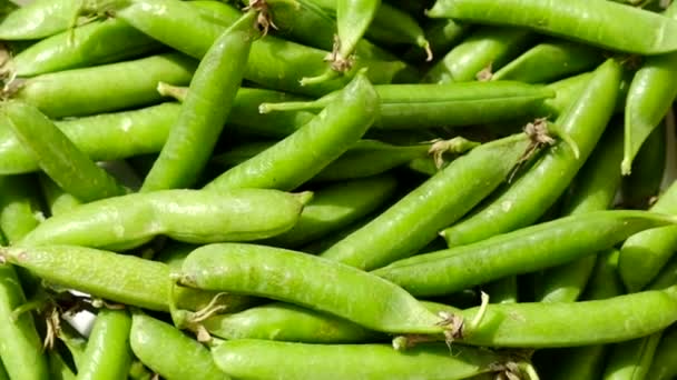 Pois verts frais rotation des gousses fermer.. Légumes frais biologiques. — Video