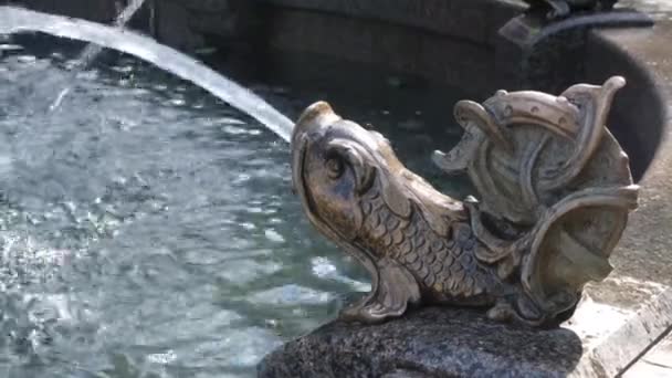 Waterfontein in de vorm van een vis. Prachtig beeldhouwwerk — Stockvideo