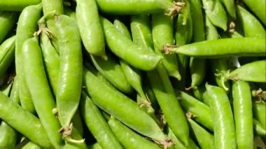 Yeşil bezelye kabukları dönüyor. Vejetaryen organik gıda