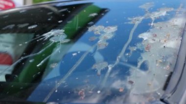 Car windshield washer, birds fucked up a car from a birds eye view