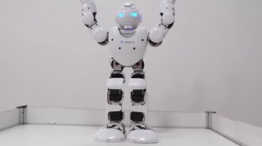 Çocuklar için modern robotların sergilenmesi, Android oyuncakları dünyasındaki elektronik yenilikler.