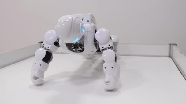 Tentoonstelling van moderne robots voor kinderen, elektronische innovaties in de wereld van Android speelgoed. — Stockvideo