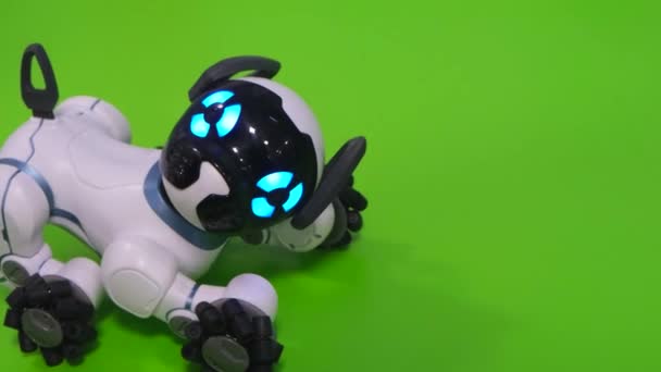 Cão de brinquedo inteligente interativo, animal de estimação eletrônico. Cão robô — Vídeo de Stock