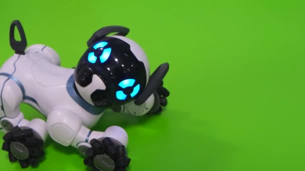 Interactive smart toy dog, electronic pet. Robot dog — Stock Video