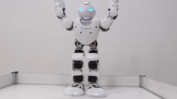 Exposición de robots modernos para niños, innovaciones electrónicas en el mundo de los juguetes Android. — Vídeo de stock