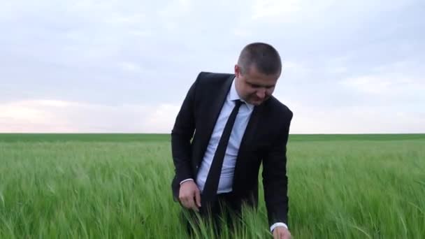 Joven ingeniero agrícola guapo inspecciona las plantas en un campo de centeno. Hojas verdes de trigo. — Vídeos de Stock