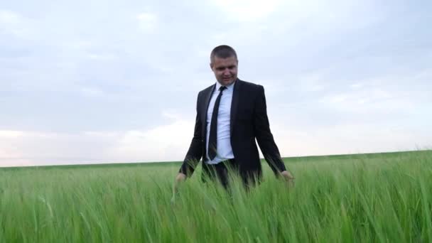 Feliz joven agricultor en un traje camina en un campo de trigo verde. — Vídeos de Stock