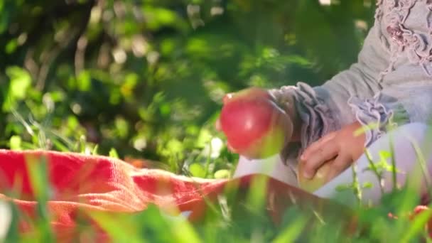 Girl playing with apples in the backyard garden. — Stock Video