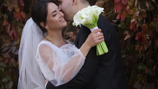 Friss házasok, menyasszony és vőlegény séta az őszi parkban. — Stock videók