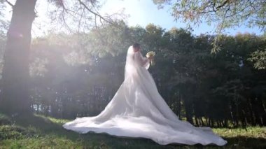 Muhteşem, zarif, mutlu gelin parktaki muhteşem ağaçların arka planında poz veriyor.. 