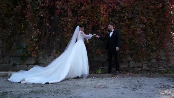 Bruden och brudgummen omfamnar. Grön vägg. Löv. Parkera. Italien — Stockvideo